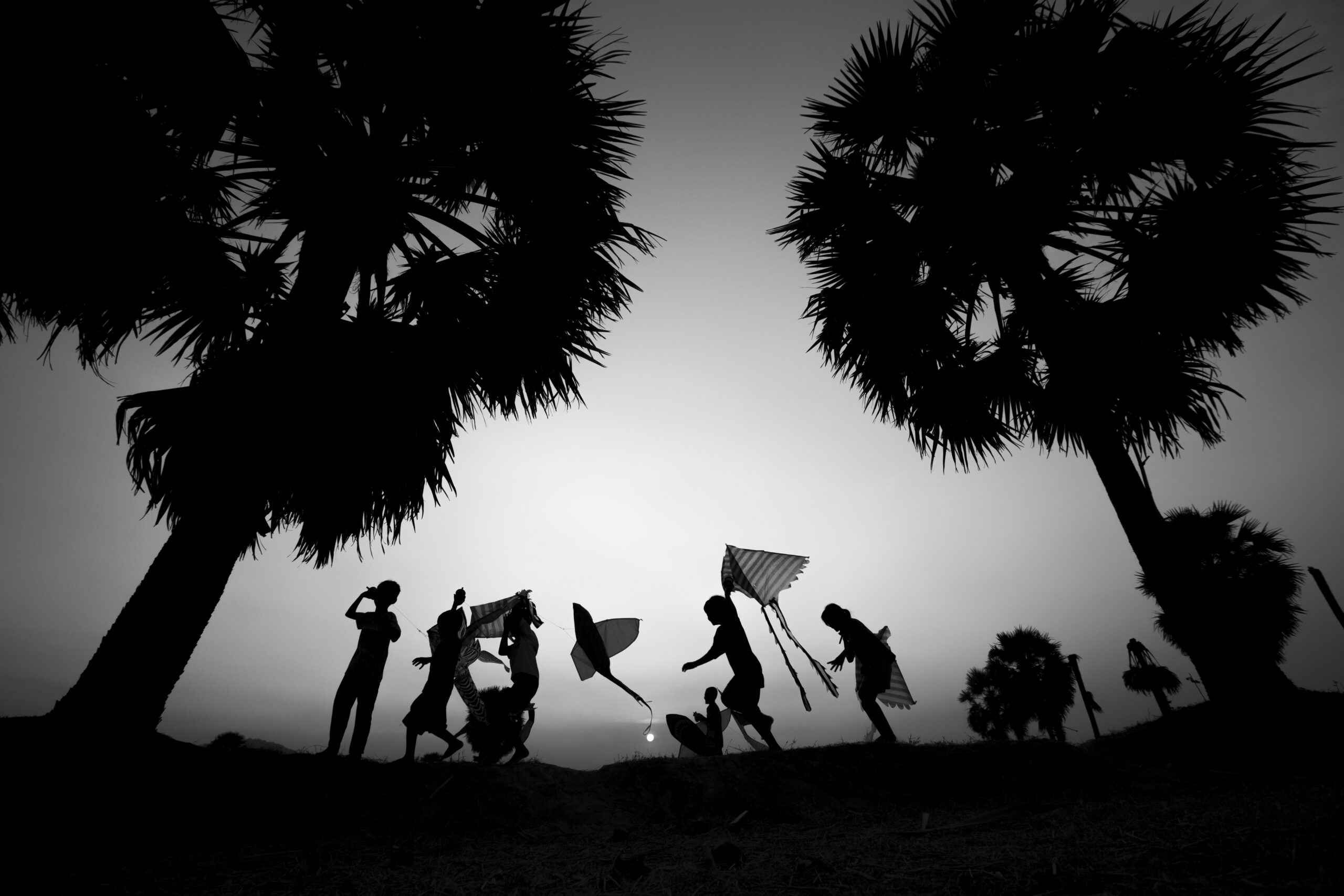 Educazione ambientale al cinema: Un fotogramma del documentario Afrim nel mondo sommerso (2023, regia di Angelos Rallis).